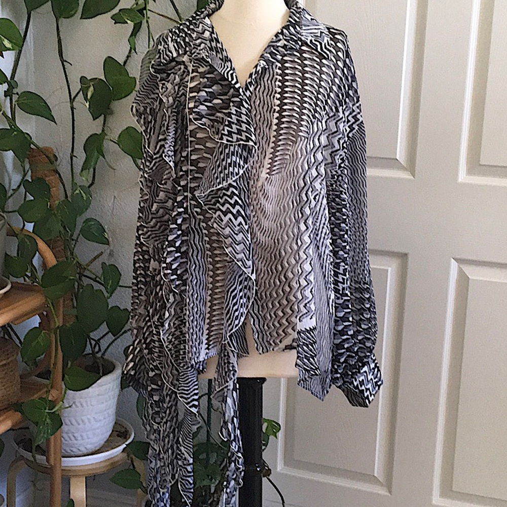 🍷✨Bloomingdale’s CQ by CQ Designer Balloon Sleeve Geometric Sheer Top 🍷⚡️